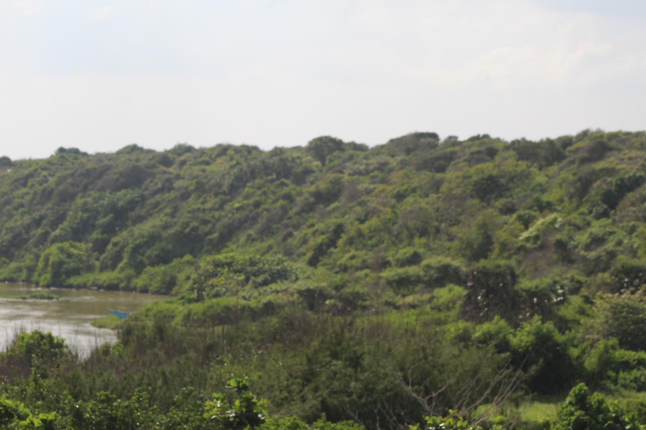 Yala Bay Resort Tissamaharama Eksteriør billede
